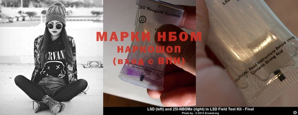 ПСИЛОЦИБИНОВЫЕ ГРИБЫ Беслан