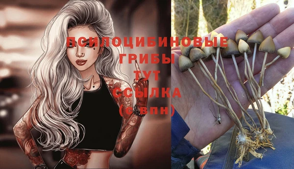 бутират Богданович