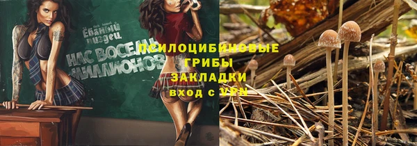 бутират Богданович