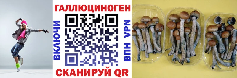 Галлюциногенные грибы мицелий Дигора